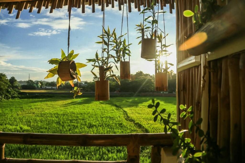 Longchen Homestay Dimāpur Eksteriør billede