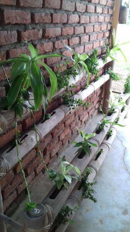 Longchen Homestay Dimāpur Eksteriør billede
